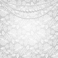 lace fabric background N27