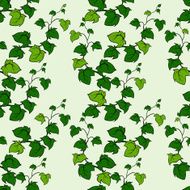 Ivy vector hand drawn seamless pattern Climbing woody plant N5