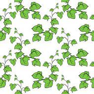 Ivy vector hand drawn seamless pattern Climbing woody plant N6
