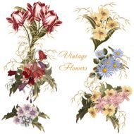 Collection of vector realistic flowers in watercolor style