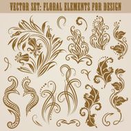 Vector set of floral elements N7