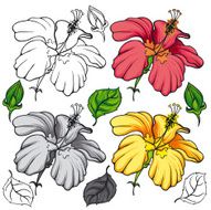 Hibiscus Flower Vector N4