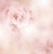Floral background N393