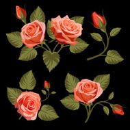 Floral background N394