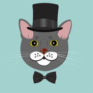 elegant cat in top hat and bow tie N2
