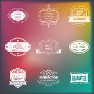 Badges N6
