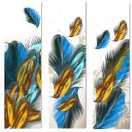 Abstract backgrounds with feathers