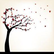 Autumn Tree N19