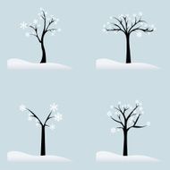 Winter Trees N7