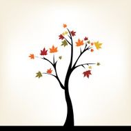 Autumn Tree N20