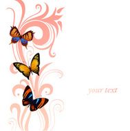Butterflies and tracery