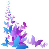 Butterflies flying N2