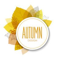Autumn background with leaves N25