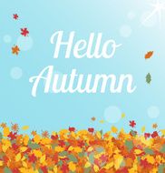 Hello autumn N7