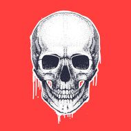 Cool Skull N3