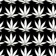 Seamless marijuana white leaves on black background pattern
