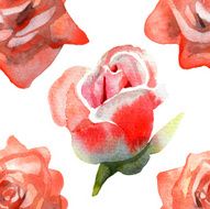 Seamless pattern of watercolor roses