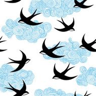 Swallow N2
