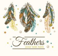 Vintage feathers N3