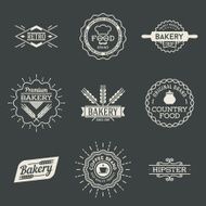 Retro design insignias logotypes set 2 Vector vintage elements N2