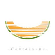 Vector of fruit cantaloupe icon N4