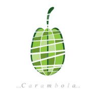 Vector of fruit carambola icon N2