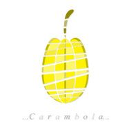 Vector of fruit carambola icon N3