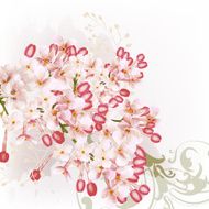 Background with lilac flowers