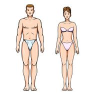 Man and woman healthy body figures