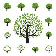 Set of vector tree