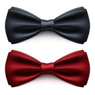 Bow Tie N21