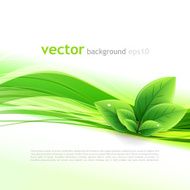 Abstract nature ecology background N2