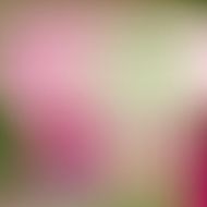 Smooth colorful background N8