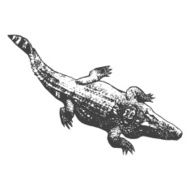 Huge crocodile thick black contour on white background Top view