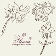 Vintage Flower Background N3