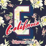 Print for T-shirt California Seamless pattern N2