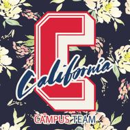 Print for T-shirt California Seamless pattern N3