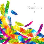 Colorful background with bright abstract transparent feathers N3