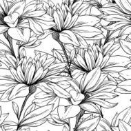 Seamless pattern from monochrome chamomiles