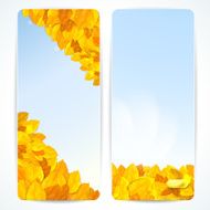 Set of vector banners with autumn leaves