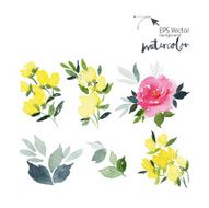 Watercolor cet