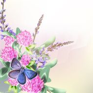 Floral background with field flowers clover and butterfly