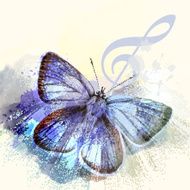 Fashion butterfly background with treble clef and