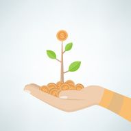 Money Tree on hand