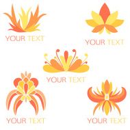 Set of 5 orange exotic floral logos