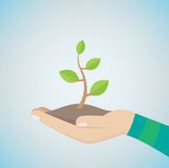 Money Tree on hand N2