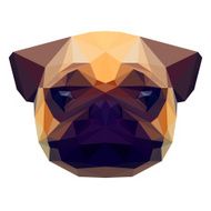 bright colored triangle polygonal abstract pug isolated on white background