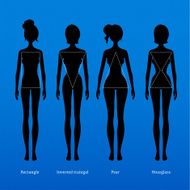 Female body types N2
