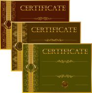 Elegant template of certificate diploma N51