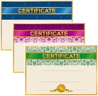 Elegant template of certificate diploma N52